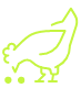 Chicken poultry icon